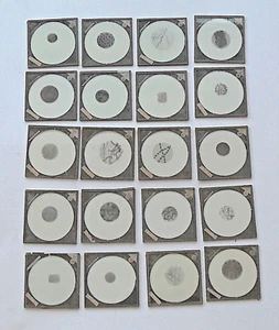 1850's Medical Bacteriology Magic Lantern Teaching Slides by Millikin & Lawley - Picture 1 of 10