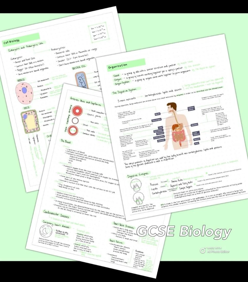 gcse biology aqa paper 1 AND 2 revision notes - triple/combined - EMAILED 💚 - Image 1 of 1