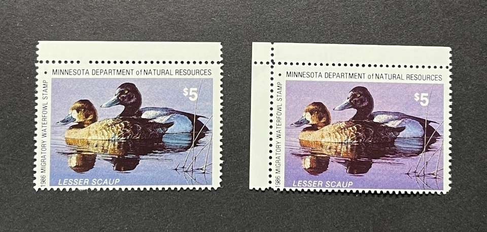 1986 MINNESOTA - State Duck Stamp - Lot1 - MNH **COLOR VARIETY ERROR** - Image 1 of 4