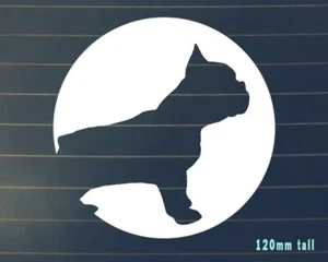 Dog Car Sticker - FRENCHIE Bumper Sticker Vinyl WHITE window laptop - Picture 1 of 4