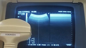 honda HCS-436 ultrasound convex probe transducer transductor ultraschallsonden - Picture 1 of 16