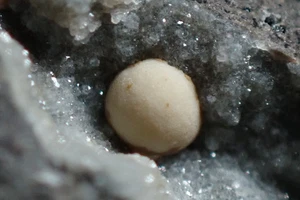 NORDSTRANDITE + PHILLIPSITE EN MATRIZ * ¡RARO!!! Jedlka, REPÚBLICA CHECA - Imagen 1 de 17