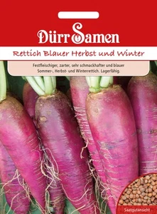 Rettich Blauer Herbst und Winter Rettichsamen von Dürrsamen ca 200 Korn - Bild 1 von 1