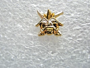 RARE ANCIEN PINS LEGION ETRANGERE PARACHUTISTES 2° REP LA  S.E.R  RECONNAISSANCE - Picture 1 of 2