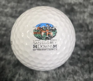 SAN LUIS DOWNS RESOR COURSE COUNTRY CLUB LOGO WILSON TC2 TOUR Golf BALL Distance - Picture 1 of 3