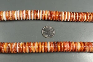 Spiny Oyster 14mm Rondelle Orange Beads 16" strand Temporary Strand - Picture 1 of 5