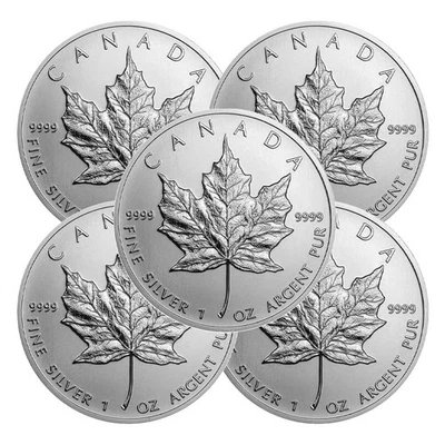 Lote de 5 - 2013 $5 hoja de arce canadiense de plata 1 oz brillante sin circular Foto 1 de 3