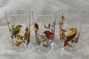 3 x 1960s Exotic Birds Motif Print - Clear Tumbler Glasses 250ml - Vintage - Picture 1 of 10
