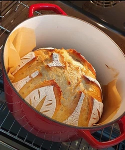 Alaskan Sourdough Starter | Live Wild Yeast Culture from Alaska | Heirloom - Picture 1 of 9