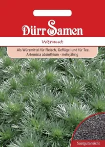 Wermut von Dürr Samen Wermutsamen ca 800 Korn Garten Wermut - Bild 1 von 1