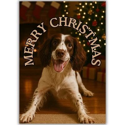HAIRY DUCK PRINTS Cute Springer Spaniel Dog Christmas Card For Him Her Friend Man Woman Friend