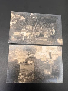 Juego de 2 RPPC Apiary Beekeeper Frank Benton Washington DC Queen Bee Boxes 1910 - Imagen 1 de 2