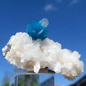 Minerali *** STUPENDA CAVANSITE BLU su MATRICE India - Imagen 1 de 2