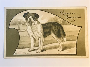 Postcard Dog St. Bernard Kindest Regards Embossed c1910's James Pitts - Picture 1 of 2