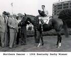 Northern Dancer, 1964 Kentucky Derby Winner, 8x10 Photo