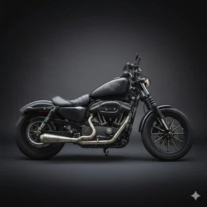 2 Into 1 Exhaust System HARLEY DAVIDSON SPORTSTER 883 1200 Forty Eight 2004-2020 - Picture 1 of 5