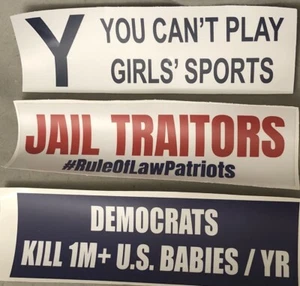 Pro Life Women Law & Order Gop Article 9 Patriotic American ￼Bumper Stickers - Picture 1 of 1