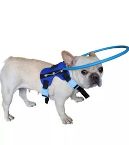 Blind Dog Harness Guiding Device Halo Pet Anti-Collision Collar Sz M Safety - Picture 1 of 11