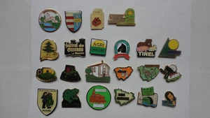 LOT DE 22 PIN'S HAUTE LOIRE LANGEAC PINOLS SIAUGUES BORNE ST PAULIEN SAUGUES ETC - Picture 1 of 1