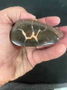 Septarian Lightning Stone Michigan Polished Display - Picture 1 of 3