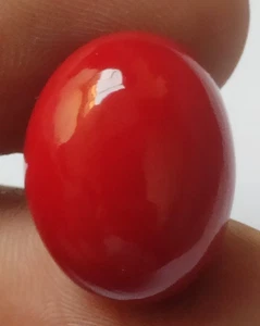 AAA+ Coral Rojo Natural 82.55 Ct. Hermoso Cabujón Italiano Ovalado Piedra Preciosa Suelta - Imagen 1 de 9