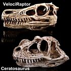 Velociraptor Ceratosaurus Skull Model Dinosaur Toy Collection Figure Decor Gift