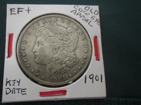 1901P  MORGAN SILVER $-EF+ DETAILS & CONDITION-KEY DATE- OLD COIN EYE APPEAL Cover
