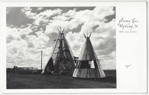 1930 Grand Island, Nebraska FOTO REAL Roadside Tepee Village, postal de tipi - Imagen 1 de 2