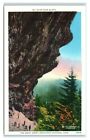 Postcard Alum Cave Bluffs, Great Smoky, linen X23