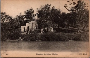 Tunisia Marabout de l'Oued Tindja Vintage Postcard C182 - Picture 1 of 2