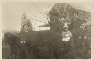 Old Photograph 5x7 Family w/Oxen in Bunker Hill, WV Child Holding Doll - Picture 1 of 2