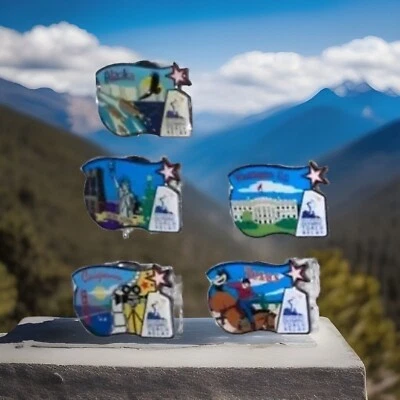 5 Pcs Salt Lake City Winter Olympic Pins Alaska Texas D.C. N.Y. California - Image 1 of 4