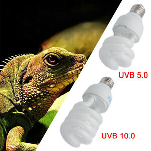 Ampoule à vis pour animaux de compagnie reptile plante UV UVB lampe tortue calcium 26 W 13 W lumière chauffante