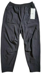 New Lululemon LAB Stretch Woven HR Pant 26" Size 6 Light Chrome Relaxed Fit-LTCH - Picture 1 of 13