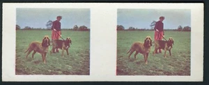 BLOODHOUND DOG WEETABIX WORKING DOGS ISSUE 3D TRADE CARD #20 - Picture 1 of 2