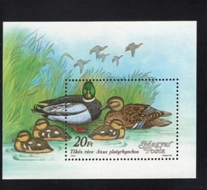 Mini hoja Ducks 1988 Hungría Sc 3141 montada sin montar o nunca montada - Imagen 1 de 1