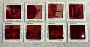 8 Vintage Pana-Vue Souvenir 35mm Slides - Disneyland Frontierland Tommorowland - Picture 1 of 3