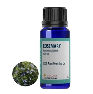 Rosemary 100% Pure Essential Oil 10ml  20ml   - Picture 1 of 3