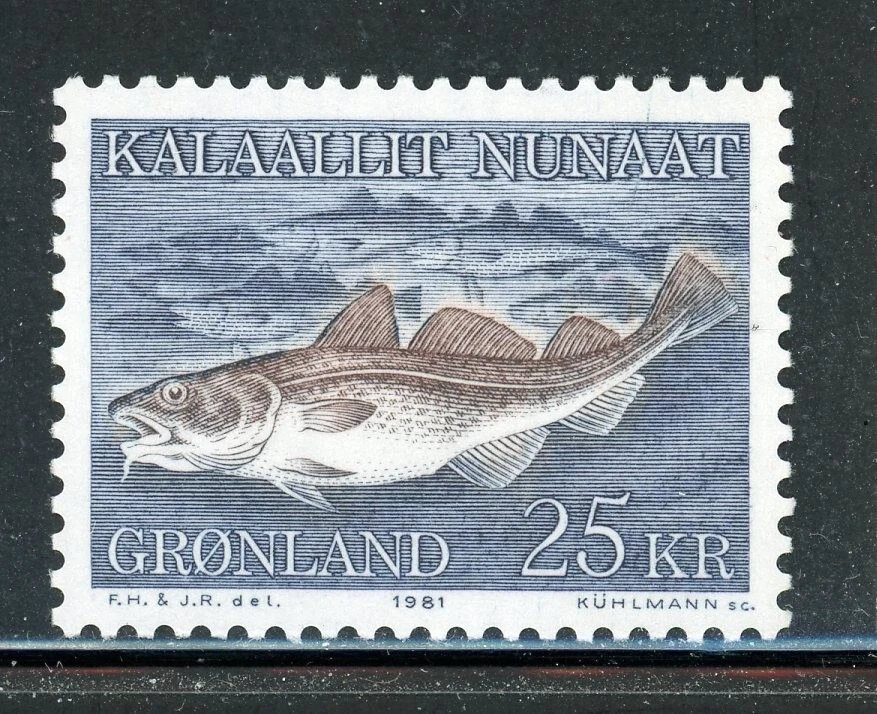 GREENLAND 140 SG130 MNH 1981 25k Atlantic Cod CV$9 - Image 1 of 1