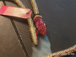 BETSEY JOHNSON RED MAGNETIC SNAKE NECKLACE - Picture 1 of 2