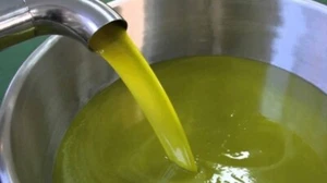 Olive Oil Fresh Palestine High Quality Virgin100%pure Qitaf2024زيت زيتون الأصلي - Picture 1 of 3