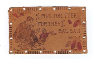 Early 1900's Leather Postcard Man Reading a Letter, Pine Cones - Picture 1 of 2