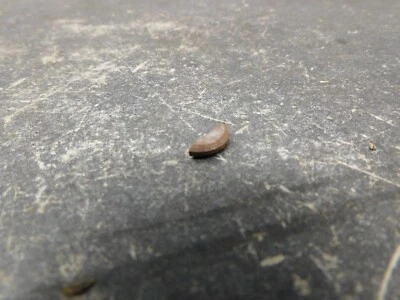  Montesa Impala 175 250 点火钥匙路 02.61.044 2463     — 第 1/3 张图片