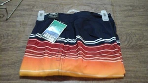 Trinity Board Shorts Multicolored Striped Surfing Beach Swim Size 32 - Picture 1 of 6