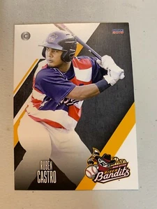 Ruben Castro Card 2018 Quad Cities River Bandits Team Card - Picture 1 of 1