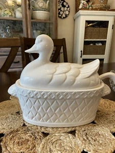 Gallina sul nido anatra mestolo bianco cottage nonna nucleo fattoria primavera Giappone - Foto 1 di 7