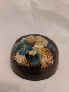 Vintage Dried Flowers Paperweight Acrylic 6cm - Picture 1 of 10