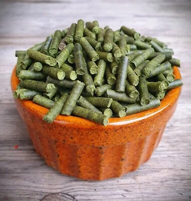 SPINAT PELLETS, Spinat - für  alle Nager ! - Bild 1 von 3
