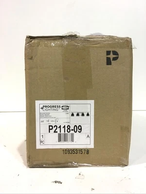 Progress Lighting P2118-09 Lucky 4-Light Brushed Nickel Bathroom Vanity Light - Image 1 of 3