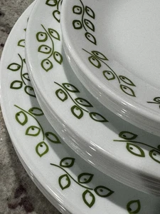 Set 20 pezzi Corelle Neo Leaf Green 7 piatti da pranzo e 8 piatti da pranzo e 5 piatti laterali pane - Foto 1 di 6